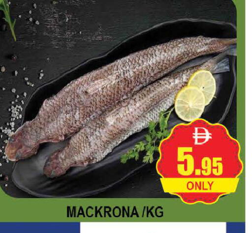 available at AL MADINA (Dubai) in UAE - Dubai
