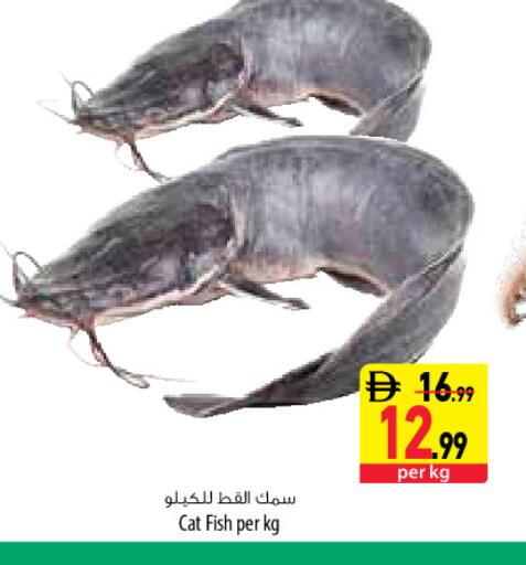 available at السفير ماركت in الإمارات العربية المتحدة , الامارات - دبي