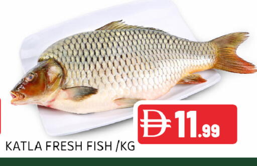 available at Ain Al Madina Hypermarket in UAE - Sharjah / Ajman