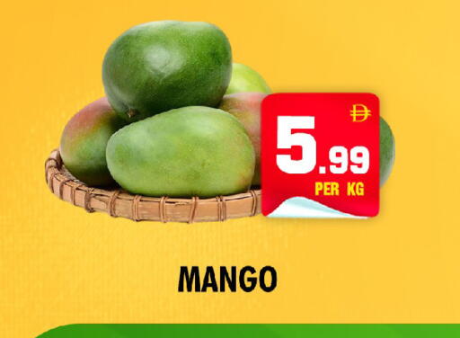 Mango available at NIGHT TO NIGHT DEPARTMENT STORE in UAE - Sharjah / Ajman