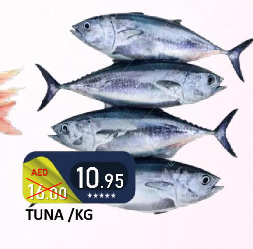 available at رويال جلف هايبرماركت in الإمارات العربية المتحدة , الامارات - أبو ظبي