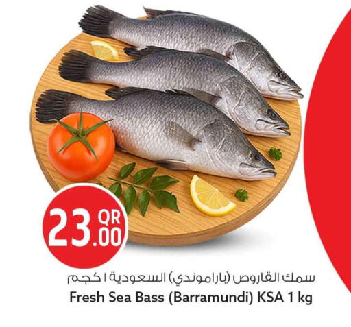 available at سفاري هايبر ماركت in قطر - أم صلال