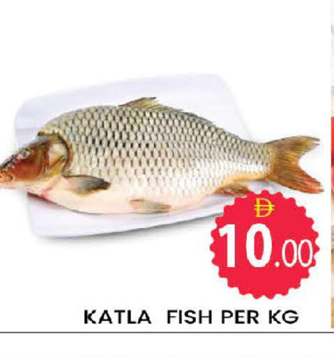 available at المدينة in الإمارات العربية المتحدة , الامارات - دبي