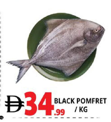 available at EXPRESS AL MADEENA HYPERMARKET LLC in UAE - Abu Dhabi