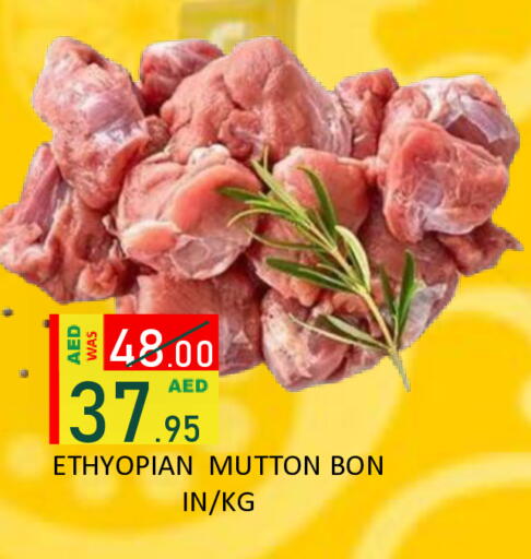 available at رويال جلف هايبرماركت in الإمارات العربية المتحدة , الامارات - أبو ظبي