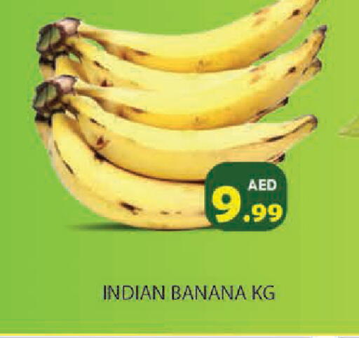 Banana from India available at Baniyas Spike  in UAE - Ras al Khaimah