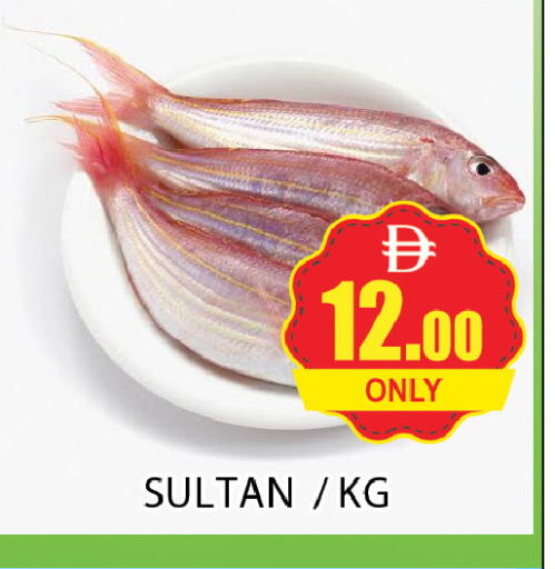available at المدينة in الإمارات العربية المتحدة , الامارات - دبي