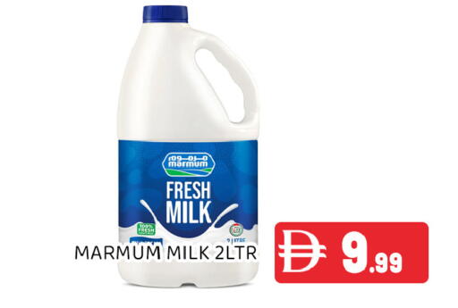 available at Ain Al Madina Hypermarket in UAE - Sharjah / Ajman