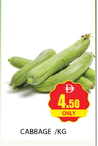 Cabbage available at المدينة in الإمارات العربية المتحدة , الامارات - دبي