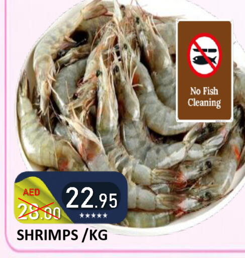 available at ROYAL GULF HYPERMARKET LLC in UAE - Abu Dhabi