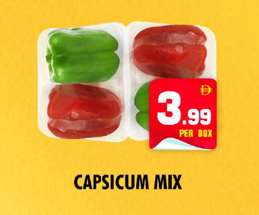 Capsicum available at NIGHT TO NIGHT DEPARTMENT STORE in UAE - Sharjah / Ajman