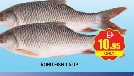 available at AL MADINA (Dubai) in UAE - Dubai