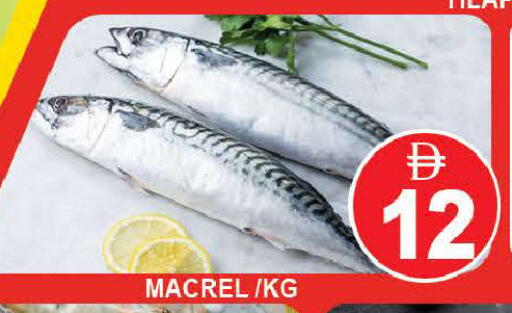 available at المدينة in الإمارات العربية المتحدة , الامارات - دبي