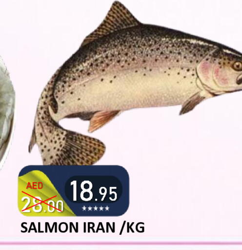 available at رويال جلف هايبرماركت in الإمارات العربية المتحدة , الامارات - أبو ظبي