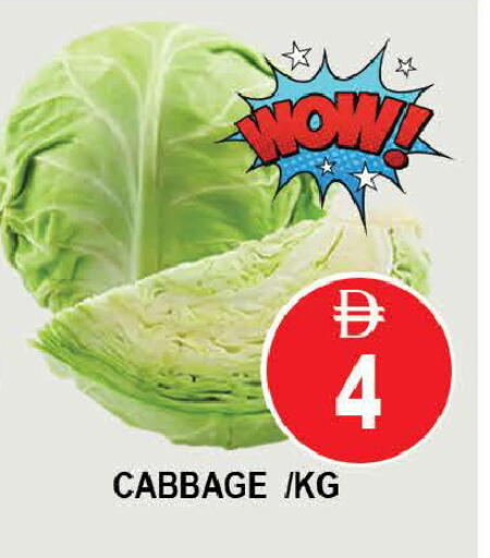 Cabbage available at المدينة in الإمارات العربية المتحدة , الامارات - دبي