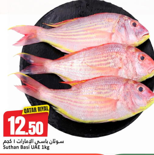 available at دانة هايبرماركت in قطر - الريان
