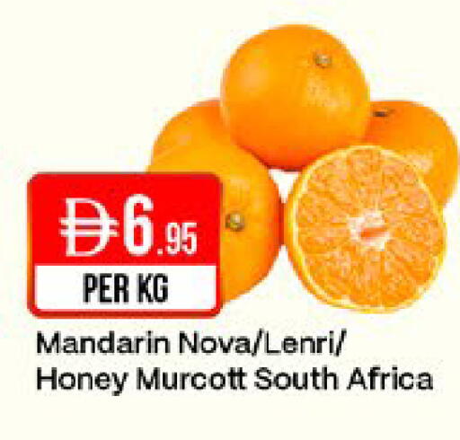 Mandarin from South Africa available at West Zone Supermarket in UAE - Sharjah / Ajman