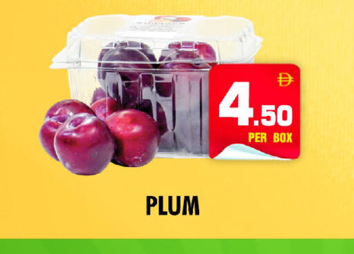 Plum available at NIGHT TO NIGHT DEPARTMENT STORE in UAE - Sharjah / Ajman