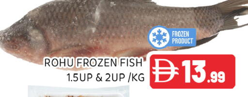 available at Ain Al Madina Hypermarket in UAE - Sharjah / Ajman