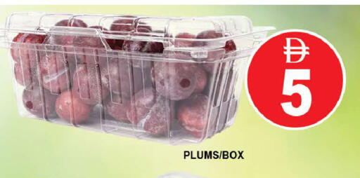 Plums available at المدينة in الإمارات العربية المتحدة , الامارات - دبي
