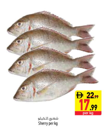 available at السفير ماركت in الإمارات العربية المتحدة , الامارات - دبي