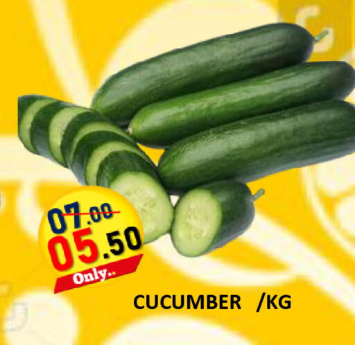 Cucumber available at رويال جلف هايبرماركت in الإمارات العربية المتحدة , الامارات - أبو ظبي