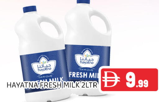 available at Ain Al Madina Hypermarket in UAE - Sharjah / Ajman
