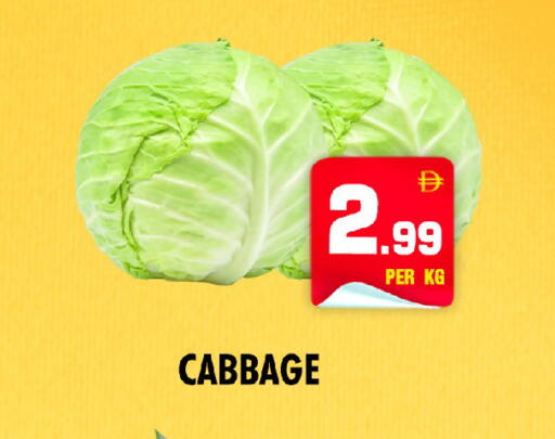 Cabbage available at NIGHT TO NIGHT DEPARTMENT STORE in UAE - Sharjah / Ajman