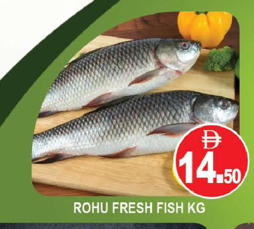 available at المدينة in الإمارات العربية المتحدة , الامارات - دبي