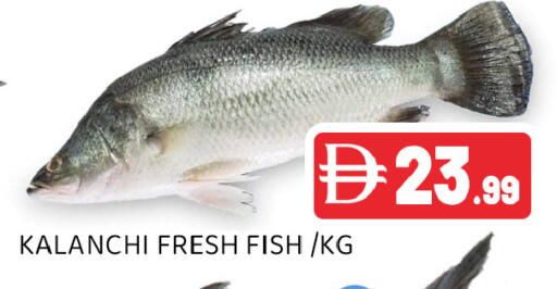 available at Ain Al Madina Hypermarket in UAE - Sharjah / Ajman
