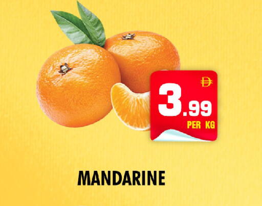 available at NIGHT TO NIGHT DEPARTMENT STORE in UAE - Sharjah / Ajman