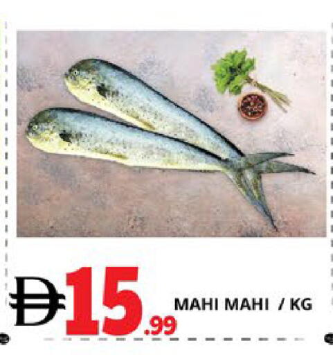 available at EXPRESS AL MADEENA HYPERMARKET LLC in UAE - Abu Dhabi