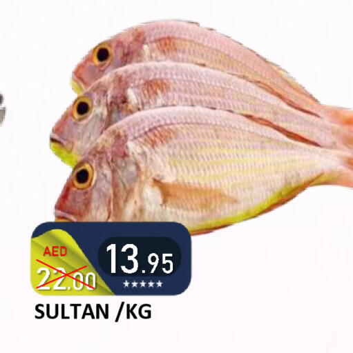 available at رويال جلف هايبرماركت in الإمارات العربية المتحدة , الامارات - أبو ظبي