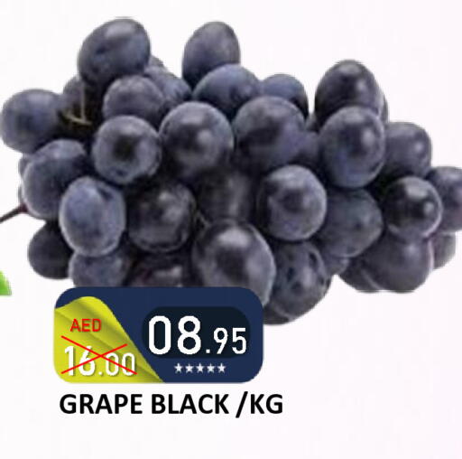 available at رويال جلف هايبرماركت in الإمارات العربية المتحدة , الامارات - أبو ظبي