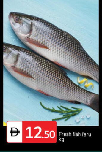 available at TALAL MARKET in UAE - Sharjah / Ajman