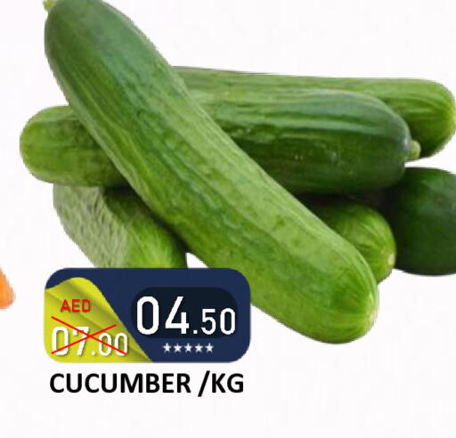 Cucumber available at رويال جلف هايبرماركت in الإمارات العربية المتحدة , الامارات - أبو ظبي
