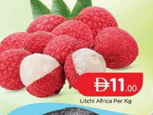 available at المدينة in الإمارات العربية المتحدة , الامارات - دبي