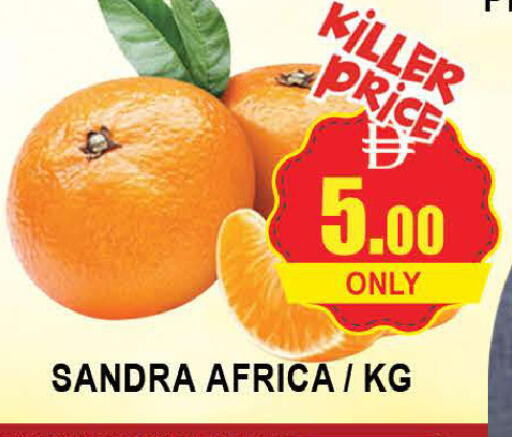 available at المدينة in الإمارات العربية المتحدة , الامارات - دبي