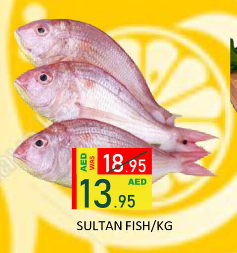 available at رويال جلف هايبرماركت in الإمارات العربية المتحدة , الامارات - أبو ظبي