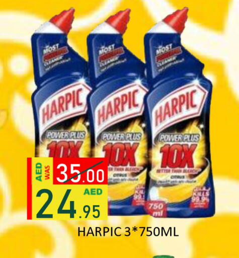 available at رويال جلف هايبرماركت in الإمارات العربية المتحدة , الامارات - أبو ظبي