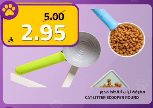 available at أسواق أسترا in مملكة العربية السعودية, السعودية, سعودية - تبوك