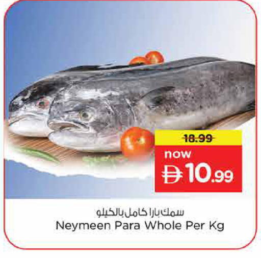 available at Nesto Hypermarket in UAE - Dubai
