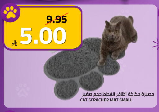 available at أسواق أسترا in مملكة العربية السعودية, السعودية, سعودية - تبوك
