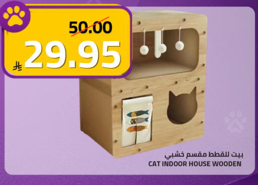 available at Astra Markets in KSA, Saudi Arabia, Saudi - Tabuk