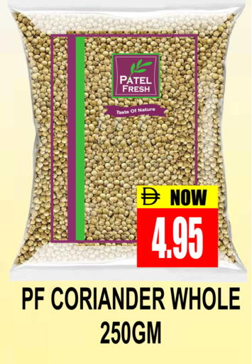 Coriander available at مجمع باتيل فريش in الإمارات العربية المتحدة , الامارات - دبي