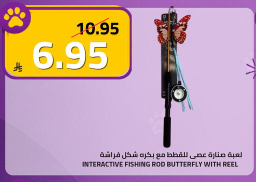 available at أسواق أسترا in مملكة العربية السعودية, السعودية, سعودية - تبوك