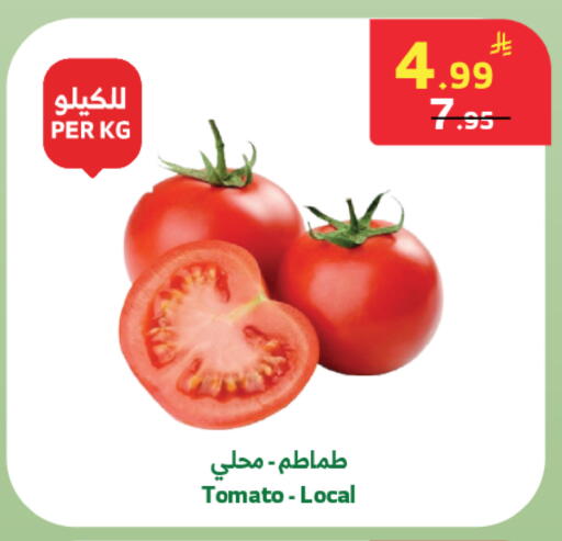 Tomato available at الراية in مملكة العربية السعودية, السعودية, سعودية - تبوك