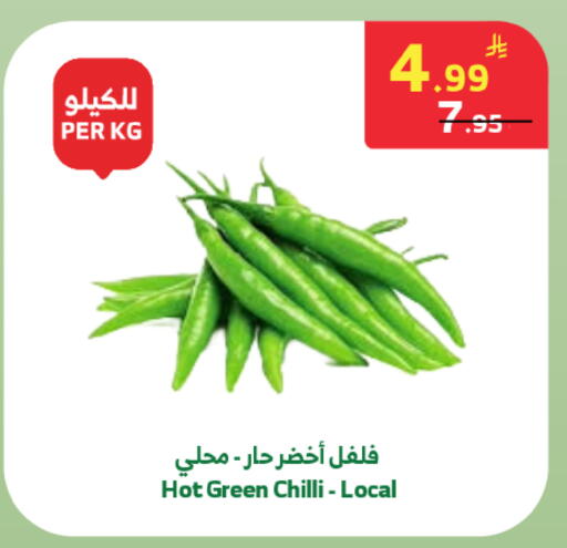 Green chilli available at الراية in مملكة العربية السعودية, السعودية, سعودية - تبوك