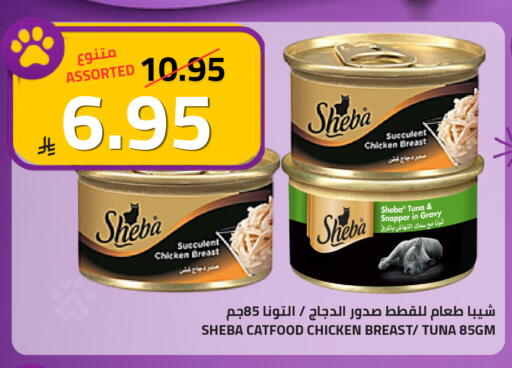 available at أسواق أسترا in مملكة العربية السعودية, السعودية, سعودية - تبوك