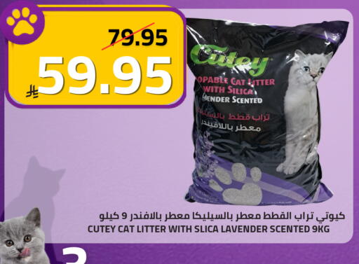 available at أسواق أسترا in مملكة العربية السعودية, السعودية, سعودية - تبوك